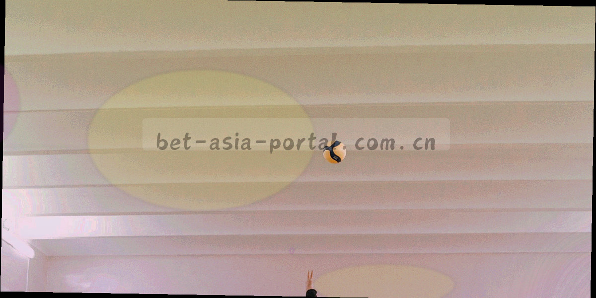 数据统计图表覆盖草原地图